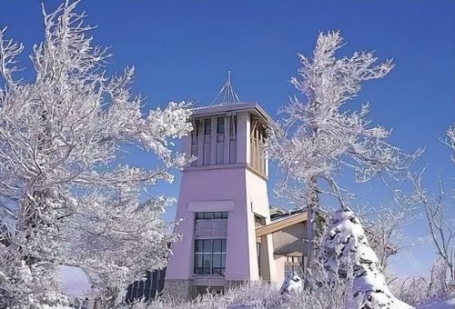 「韩国留学问答」韩国留学怎么样?韩国留学性价比高不高?-1 「韩国留学问答」韩国留学怎么样?韩国留学性价比高不高?-1