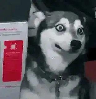 内卷、emo、凡尔赛…2021“年度热词”出炉(盘点生活中好用的网络用语)插图13 内卷、emo、凡尔赛…2021“年度热词”出炉(盘点生活中好用的网络用语)插图13