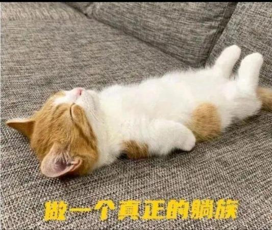 内卷、emo、凡尔赛…2021“年度热词”出炉(盘点生活中好用的网络用语)插图7 内卷、emo、凡尔赛…2021“年度热词”出炉(盘点生活中好用的网络用语)插图7