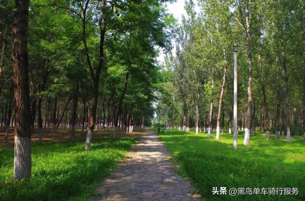 北京最美的10条绿道(不容错过的北京10条骑游绿道)插图3