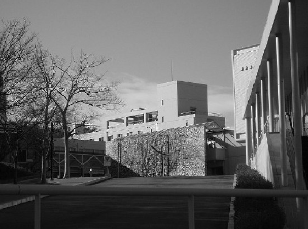 ed2f0f409a63c0f02138239cf8513519