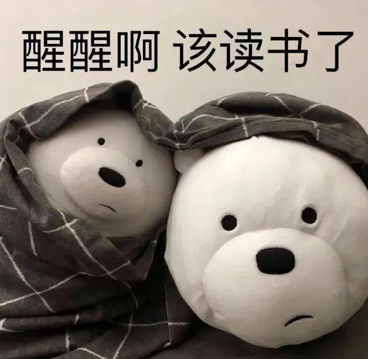 「留学资讯」留学生到海外留学,如何快速适应国外的生活?-1 「留学资讯」留学生到海外留学,如何快速适应国外的生活?插图5