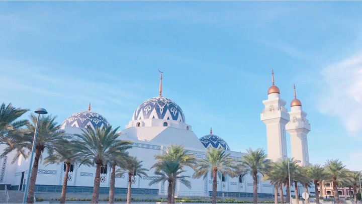 沙特阿拉伯高校：沙特国王科技大学介绍及留学申请（可以住别墅坐游艇的大学）插图6