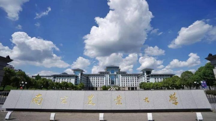 高校公共管理专业实力排名2022(清华大学排名第一)-1 高校公共管理专业实力排名2022(清华大学排名第一)插图3