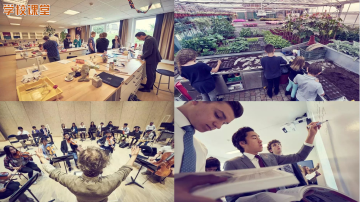 瑞士私立高校:萝实学院介绍(欧洲王室最青睐的学校)-1 瑞士私立高校:萝实学院介绍(欧洲王室最青睐的学校)插图7