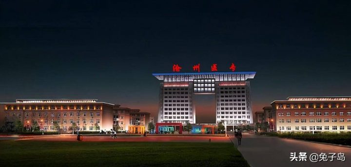 河北省高职院校排名2022（沧州医学高等专科学校领跑）插图3