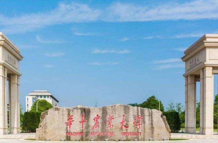 高校2022未来科学大奖盘点:清华大学第一,上海交通大学第二-1 高校2022未来科学大奖盘点:清华大学第一,上海交通大学第二插图1