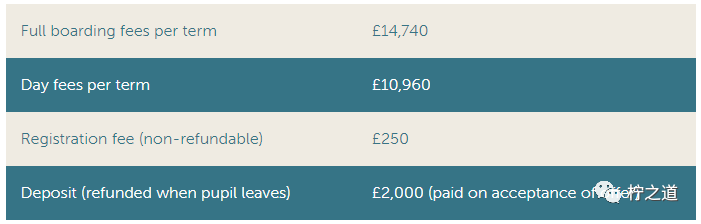 「英国私立中学」堂屋中学(Downe House):私立寄宿&走读女校-1 「英国私立中学」堂屋中学(Downe House):私立寄宿&走读女校插图13