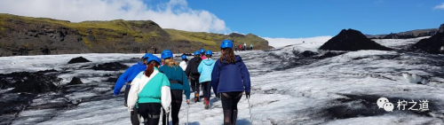「英国私立中学」牛津中学（Oxford High School GDST）：私立女子走读学校插图15