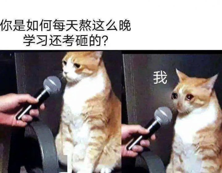 「留学资讯」留学生到海外留学,如何快速适应国外的生活?-1 「留学资讯」留学生到海外留学,如何快速适应国外的生活?插图4