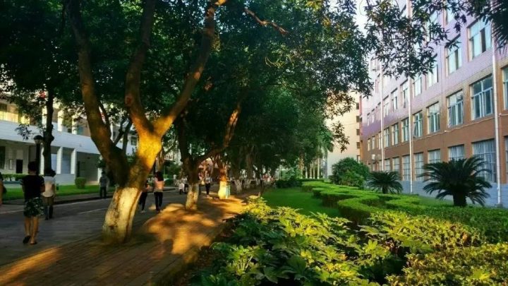 广西自治区高职院校排名2022(广西职业技术学院领跑)-1 广西自治区高职院校排名2022(广西职业技术学院领跑)插图3