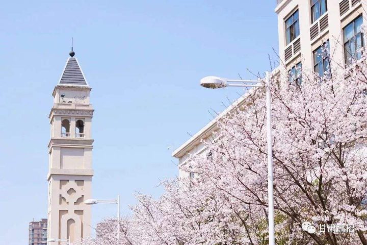 中国语言类民办大学排名2022(黑龙江外国语学院领跑)-1 中国语言类民办大学排名2022(黑龙江外国语学院领跑)插图6