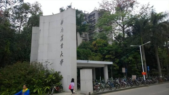 中国大学高被引学者排名(清华大学、浙江大学、北京大学位列三甲)-1 中国大学高被引学者排名(清华大学、浙江大学、北京大学位列三甲)插图6