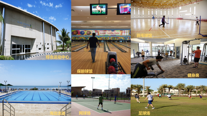 沙特阿拉伯高校：沙特国王科技大学介绍及留学申请（可以住别墅坐游艇的大学）插图4