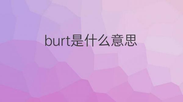 burt是什么意思 burt的翻译、中文解释 – 下午有课