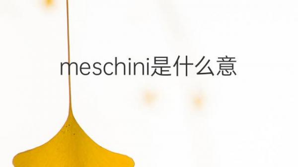 meschini是什么意思 meschini的翻译、中文解释 – 下午有课