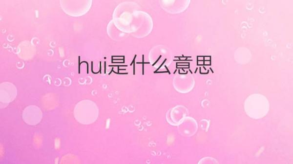 hui是什么意思 hui的翻译、读音、例句、中文解释 – 下午有课