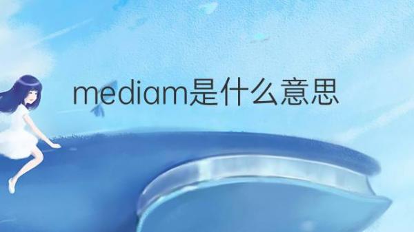 法国社交网络使用人数