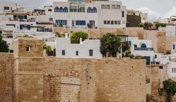 国内不承认的海外学历有哪些？（这七种海外学历国内不承认，准备留学的各位要警惕！）插图1