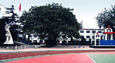 石家庄初中排名2023最新排名(石家庄十大初中排行榜)插图2 石家庄初中排名2023最新排名(石家庄十大初中排行榜)插图2