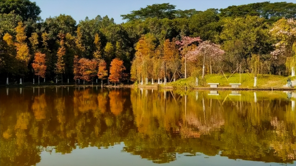 广东工业大学是985/211吗?为何会被美国制裁?插图4 广东工业大学是985/211吗?为何会被美国制裁?插图4