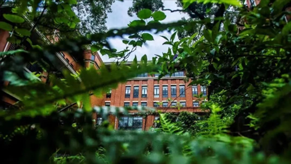 中山大学专业评级排名?中山大学怎么样?插图2 中山大学专业评级排名?中山大学怎么样?插图2