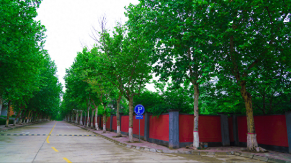 西北政法大学怎么样?西北政法大学经济学类怎么样?插图4 西北政法大学怎么样?西北政法大学经济学类怎么样?插图4