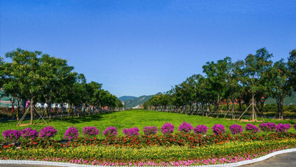 北京化工大学怎么样?北京化工大学全国排名第几?插图5 北京化工大学怎么样?北京化工大学全国排名第几?插图5