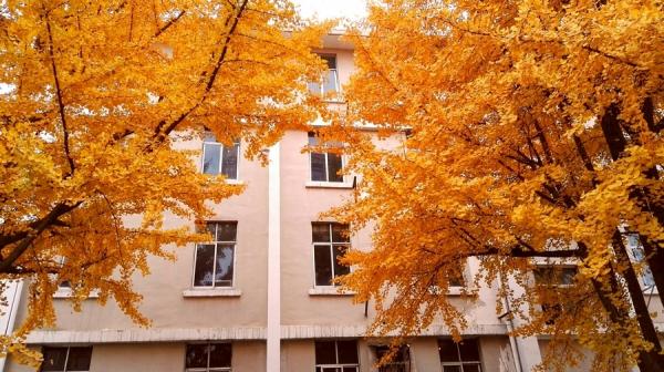 西安外国语大学怎么样?西安外国语大学是双一流大学吗?插图2 西安外国语大学怎么样?西安外国语大学是双一流大学吗?插图2