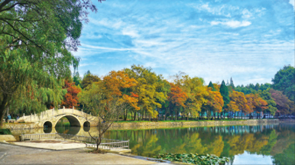 南京理工大学第四轮学科评估结果,南京理工大学专业评级?插图5 南京理工大学第四轮学科评估结果,南京理工大学专业评级?插图5