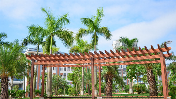 桂林理工大学怎么样?插图4 桂林理工大学怎么样?插图4