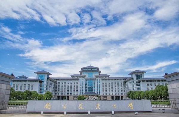 全国76所211大学2023年江苏省物理类投档分数线与2022年对比插图2 全国76所211大学2023年江苏省物理类投档分数线与2022年对比插图2