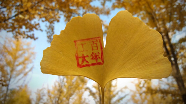 兰州理工大学怎么样?兰州理工大学算几流大学?插图2 兰州理工大学怎么样?兰州理工大学算几流大学?插图2