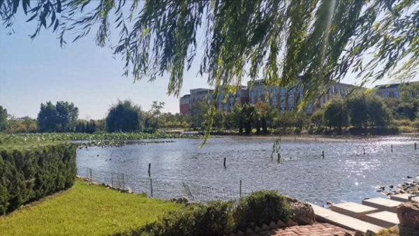 沈阳师范大学是几本是一本还是二本？沈阳师范大学2023年录取分数线是多少？插图3