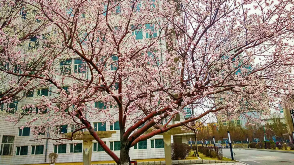 长春工程学院怎么样?长春工程学院有没有硕士点?插图2 长春工程学院怎么样?长春工程学院有没有硕士点?插图2