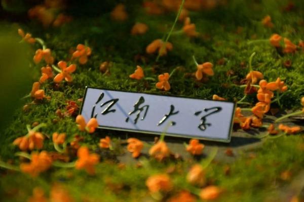 设计学专业大学排名2023(校友会2023中国大学设计学学科排名:清华大学排名第1)插图3 设计学专业大学排名2023(校友会2023中国大学设计学学科排名:清华大学排名第1)插图3