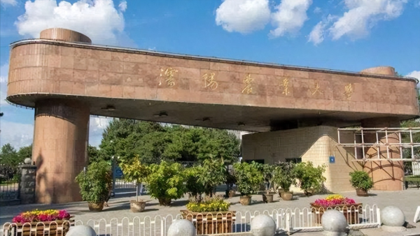 沈阳农业大学怎么样?沈阳农业大学全国排名2023插图3 沈阳农业大学怎么样?沈阳农业大学全国排名2023插图3