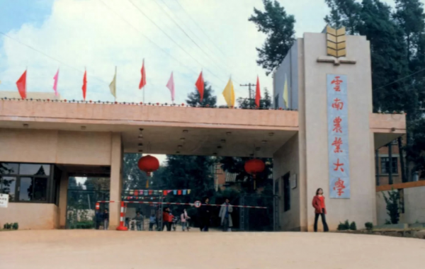 云南省公办本科大学2023年云南省文科投档分数线与2022年对比插图2 云南省公办本科大学2023年云南省文科投档分数线与2022年对比插图2