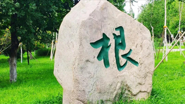 沈阳师范大学是几本是一本还是二本？沈阳师范大学2023年录取分数线是多少？插图5