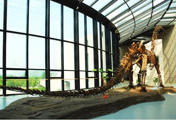 中国矿业大学徐州简介插图4