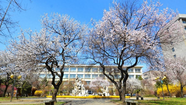 辽宁石油化工大学学科评估结果？辽宁石油化工大学怎么样？插图3