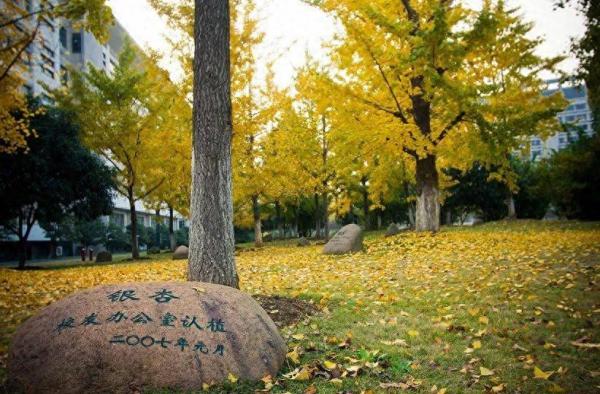 浙江工商大学有几个校区？插图5