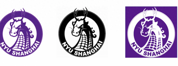 上海纽约大学简介