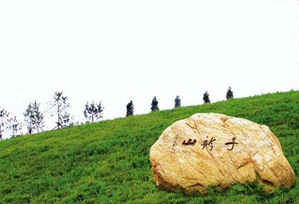 大连医科大学简介插图8