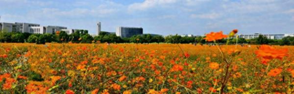 中国矿业大学徐州简介
