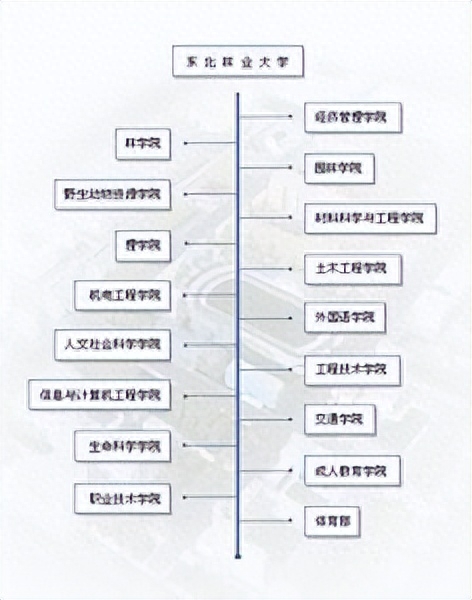 东北林业大学简介插图 东北林业大学简介插图