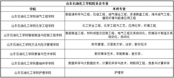 山东石油化工学院在哪个城市?山东石油化工学院怎么样好不好?插图4 山东石油化工学院在哪个城市?山东石油化工学院怎么样好不好?插图4
