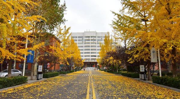 山东科技大学是几本?山东科技大学地址?插图6 山东科技大学是几本?山东科技大学地址?插图6