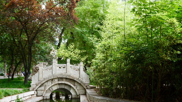 曲阜师范大学怎么样？曲阜师范大学排名多少2023？插图6