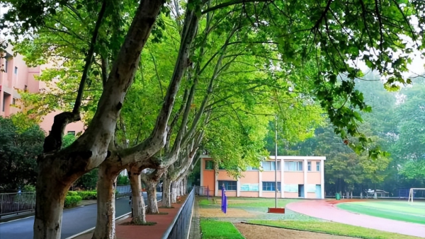 南京体育学院怎么样?南京体育学院有没有硕士点?插图2 南京体育学院怎么样?南京体育学院有没有硕士点?插图2